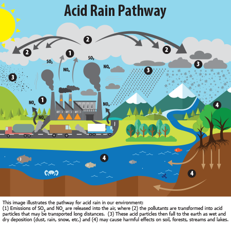 File:450x375 acidrainpathway 3-28.png